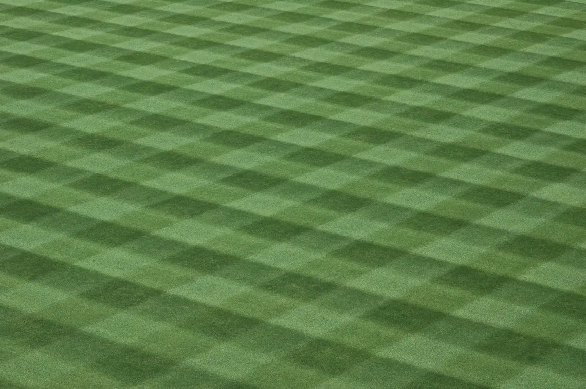 Beautifully Mowed Grass in Rincon