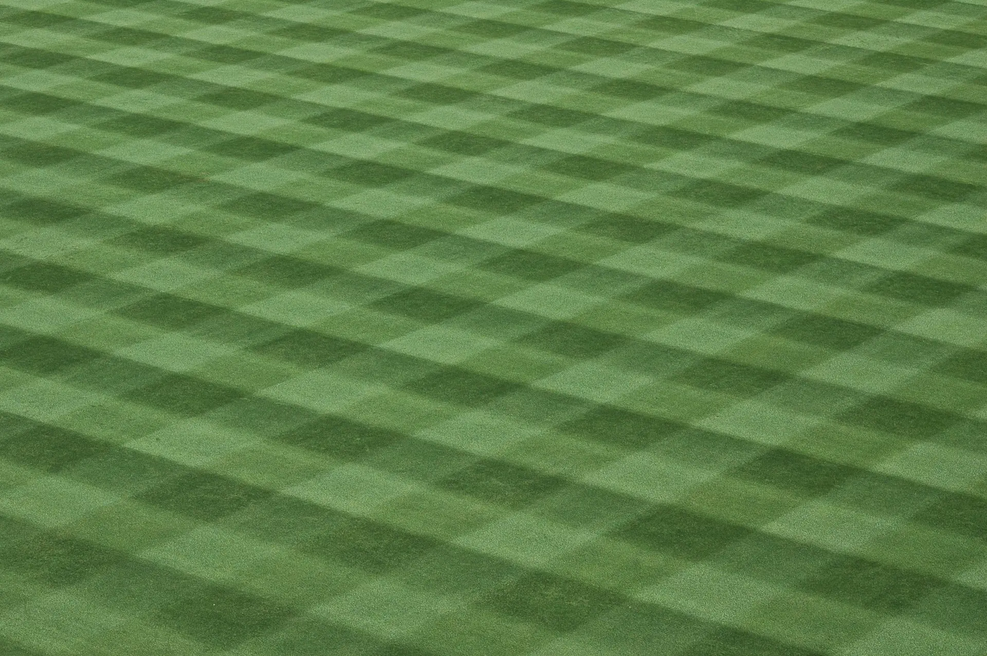 Beautifully Mowed Grass in Rincon